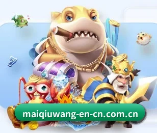 买球网的故事（maiqiuwang）